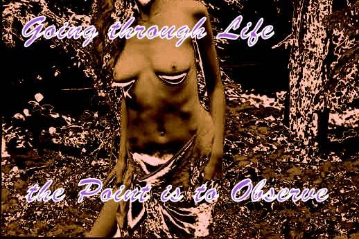 Going through Life the Point is to Observe - Cosmic Art Card