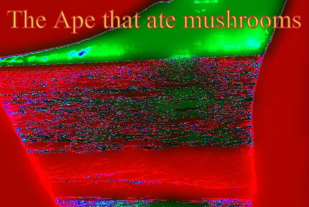 The Ape that ate mushrooms - Cosmic Art Card